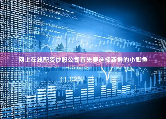 网上在线配资炒股公司首先要选择新鲜的小鲫鱼