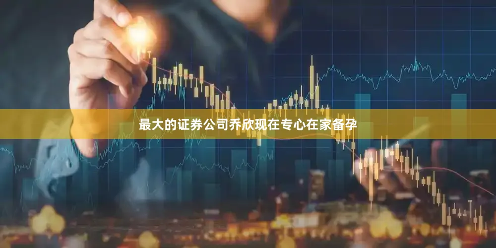 最大的证券公司乔欣现在专心在家备孕