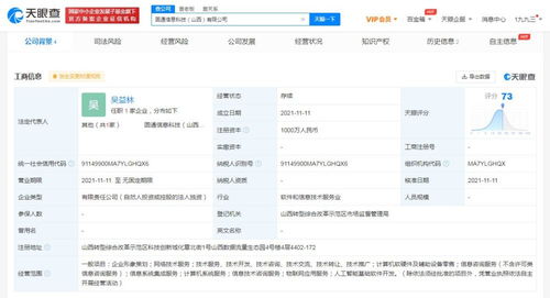 軟件開發 過程、挑戰與未來趨勢